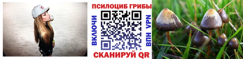 Псилоцибиновые грибы мицелий  Когалым 
